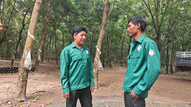 ĐỔI ĐỜI NHỜ CÂY CAO SU (*): PHÁT TRIỂN NGUỒN LÃNH ĐẠO, QUẢN LÝ TẠI CHỖ